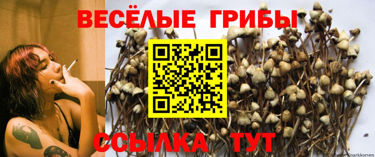 Галлюциногенные грибы ЛСД  купить наркотики цена  Керчь  Вход с VPN 